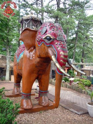 Cedar Elephant At Six Flags Great Adventure Safari